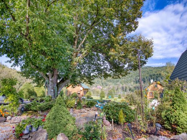 Domki pod Lipą i Domek u Jasi