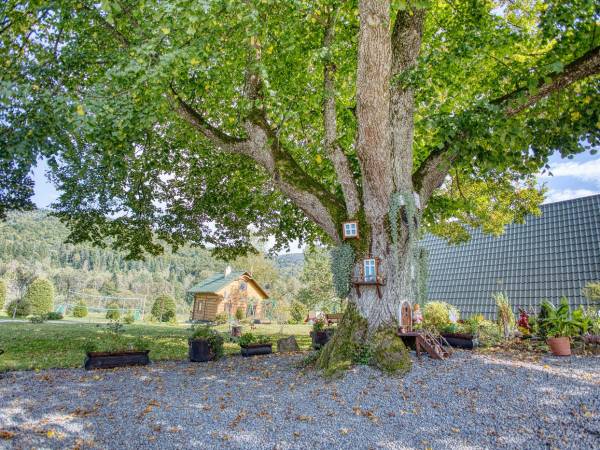 Domki pod Lipą i Domek u Jasi