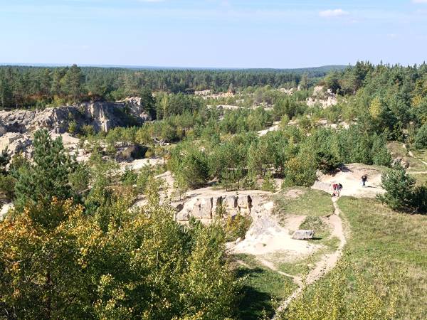 Apartament Slowly Zamość - na wyłączność, z ogrodem