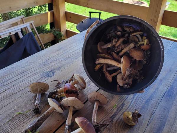 Miodowy Domek na Mazurach