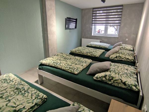 KINGASERWIS Pokoje do wynajęcia