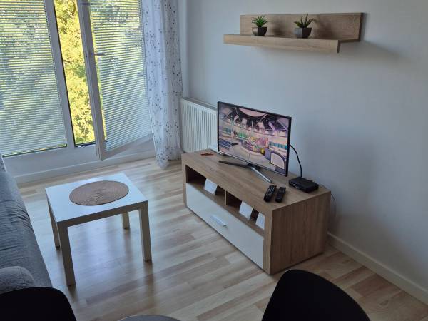 Salon , balkon francuski