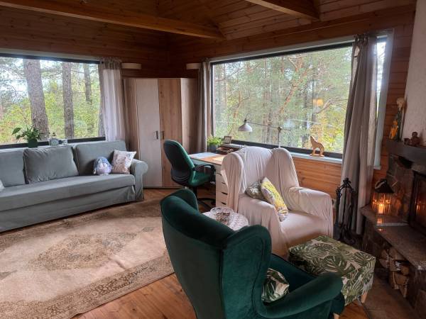 Salon z kominkiem i kanapą rozkładaną na dwie osiby