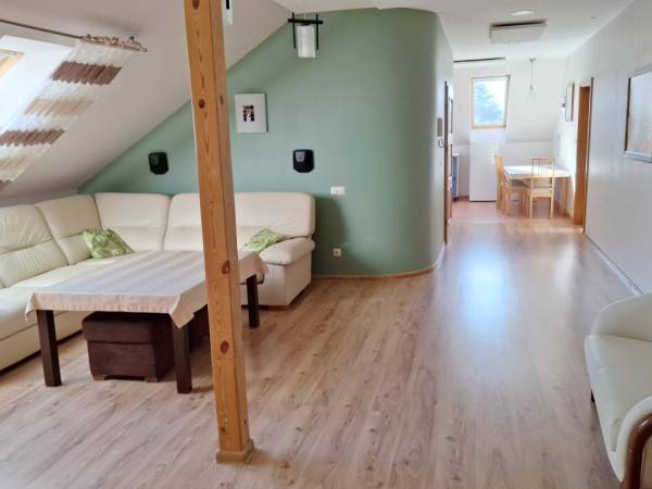 pokój dziennego pobytu z widokiem na aneks kuchenny