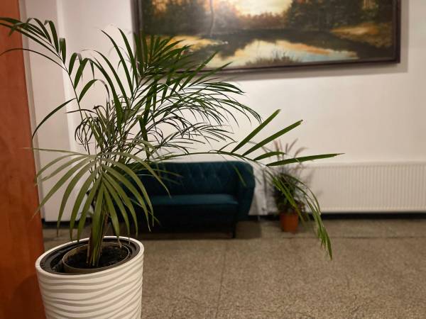 Grupa mPark Noclegi Śląsk Mysłowice