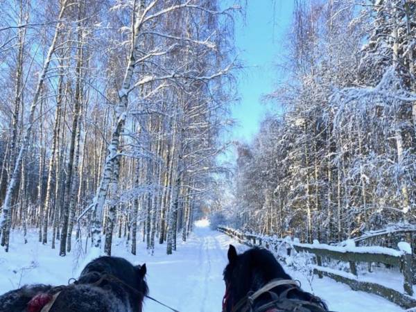 Jak Tu Ładnie - Osada i Siedlisko Mazury