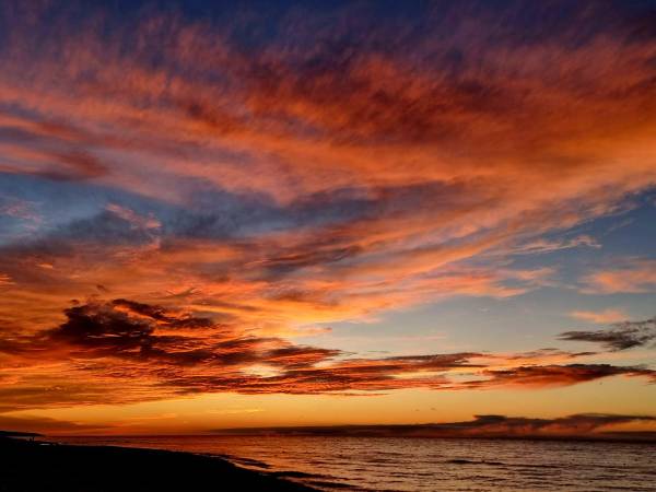 Diuna Apartamenty 365 