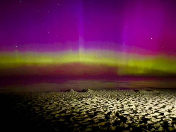 Diuna Apartamenty 365 