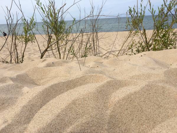 Diuna Apartamenty 365 