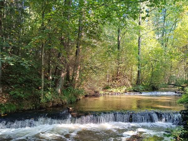 Apartament Slowly Zamość - na wyłączność, z ogrodem