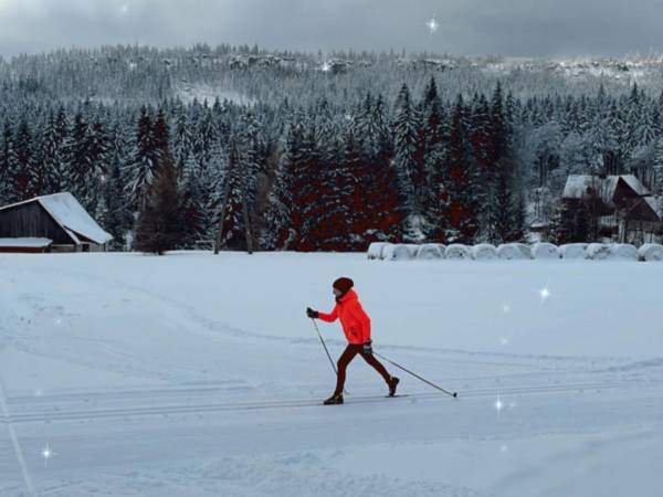 Ośrodek Wypoczynkowy I Restauracja Szczeliniec