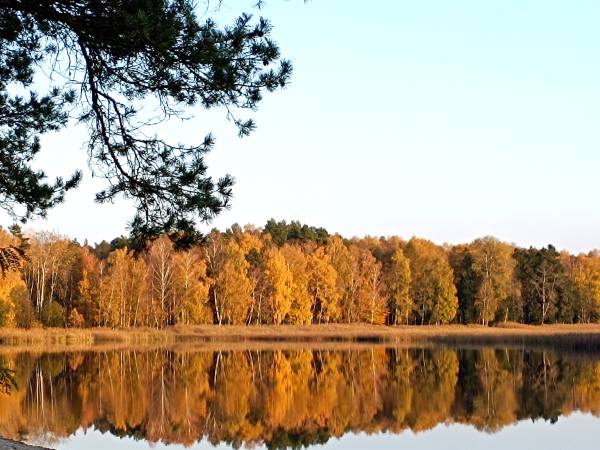 Roztocze w kolorach jesieni