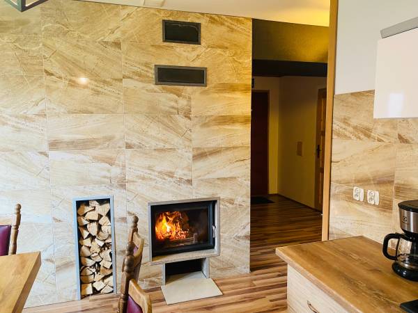 Całoroczne domki w górach "ALEKSANDER"