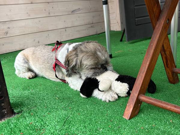 Domki Promyk Mrzeżyno