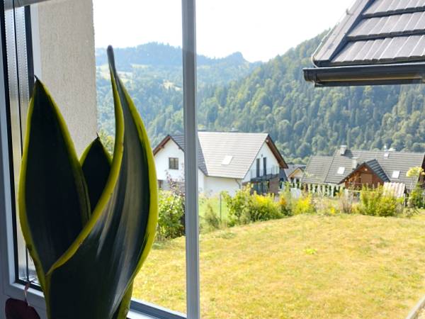 Cisza i Spokój Pieniny