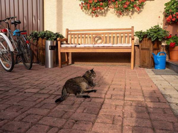 Karolek - Apartamenty i Pokoje 