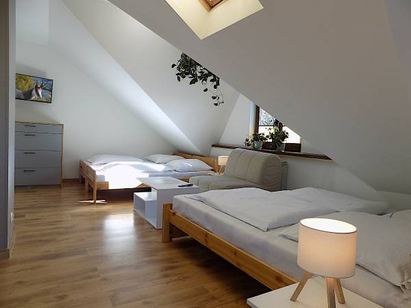 studio z aneksem kuchennym