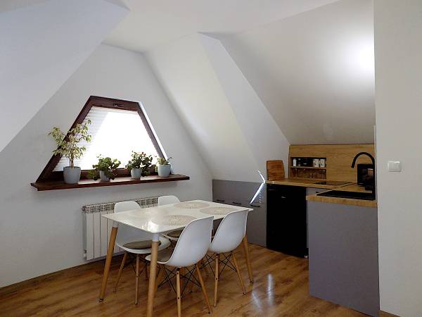 pokój z łazienką i kuchnią