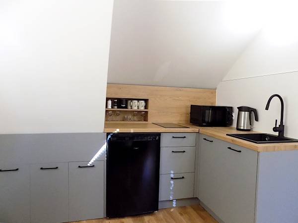 pokój z własną łazienką i kuchnią