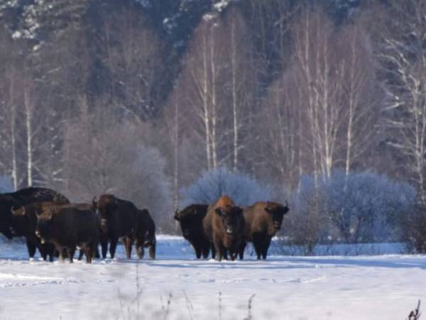 Wiejskie podwórze Ekologiczne gospodarstwo agroturystyczne