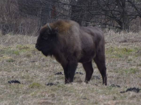 Wiejskie podwórze Ekologiczne gospodarstwo agroturystyczne