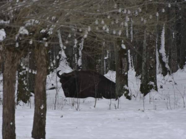 Wiejskie podwórze Ekologiczne gospodarstwo agroturystyczne