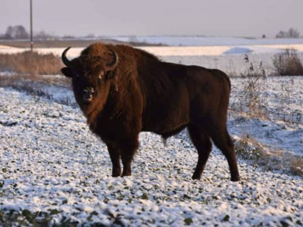 Wiejskie podwórze Ekologiczne gospodarstwo agroturystyczne