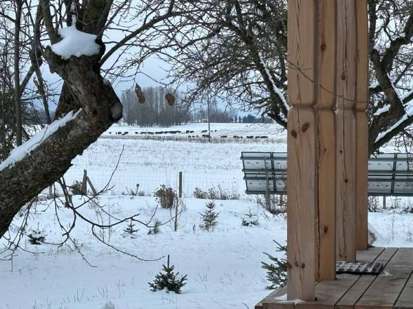 Wiejskie podwórze Ekologiczne gospodarstwo agroturystyczne