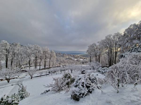 Willa Gazdówka - pokoje gościnne 