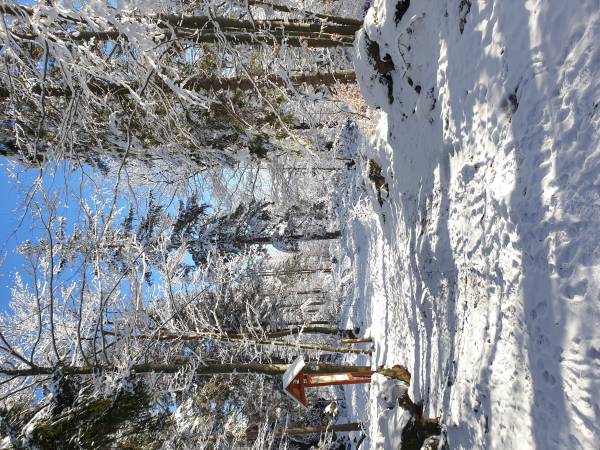 Willa Gazdówka - pokoje gościnne 