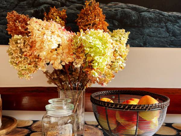 Agroturystyka Bobrowniki