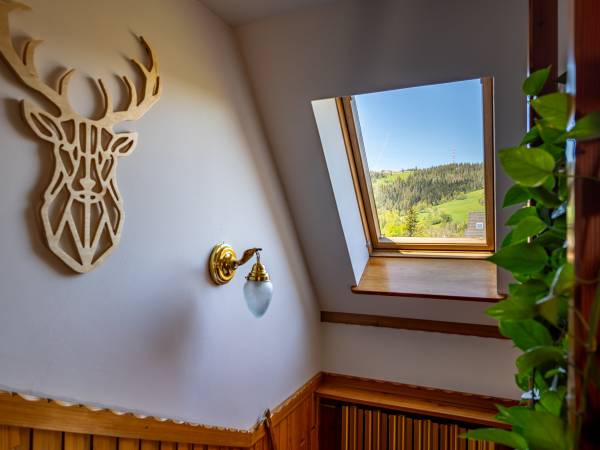 Pokoje Gościnne Molendowicz