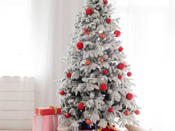 Willa Jaśmin - domki, pokoje, apartamenty