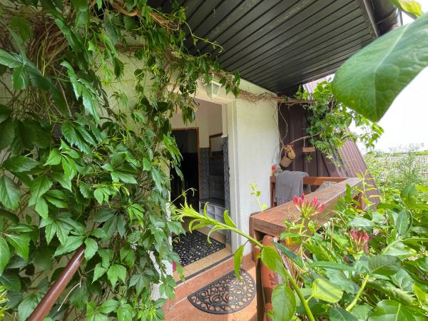 Apartamenty pod Wiciokrzewem