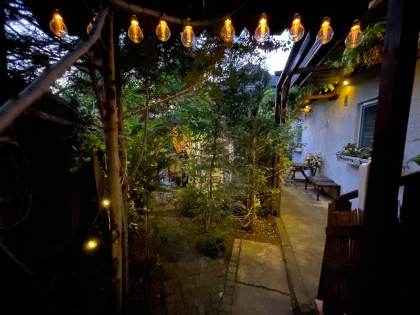 Apartamenty pod Wiciokrzewem