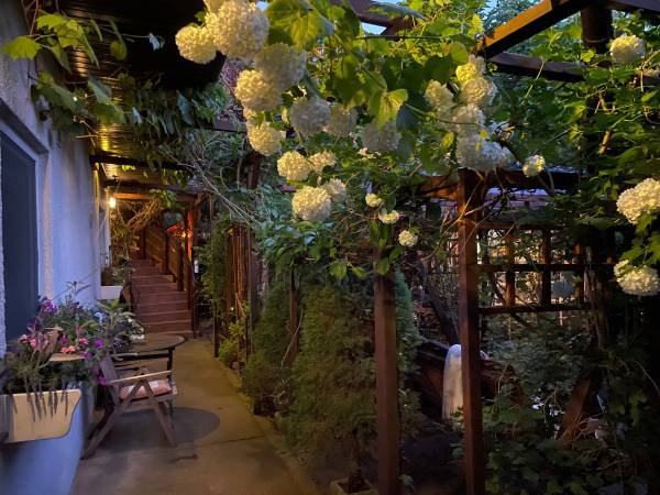 Apartamenty pod Wiciokrzewem