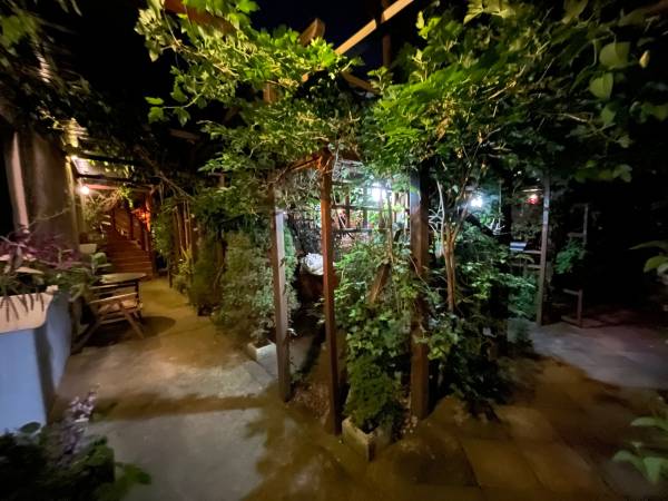 Apartamenty pod Wiciokrzewem