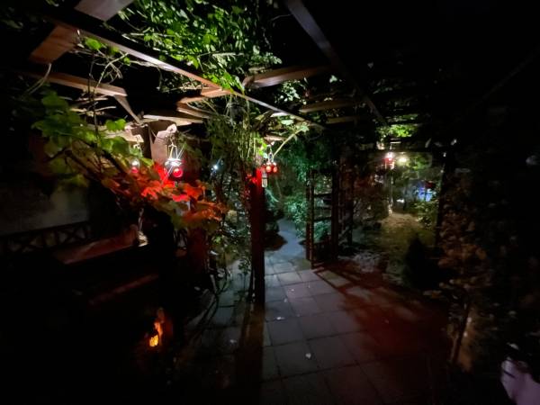 Apartamenty pod Wiciokrzewem