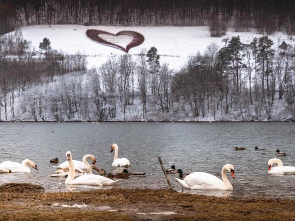 Solina Domki Całoroczne - "Solińskie Wzgórze"