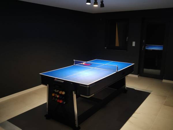 pokój gier tenis stołowy