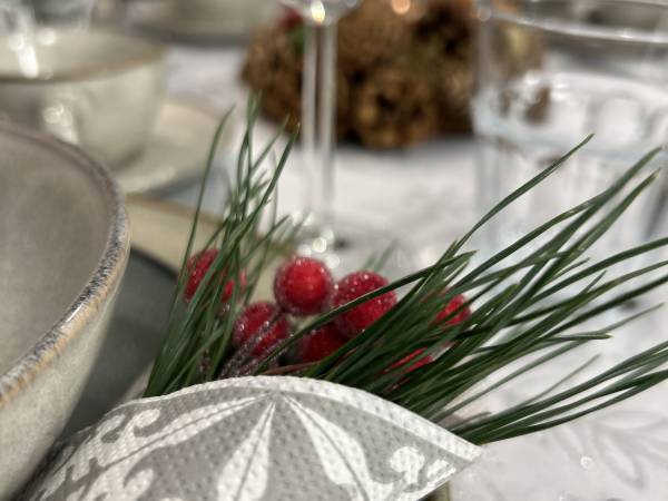 BURSZTYN Domki Całoroczne