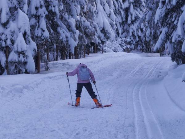 Pobliska Droga pod Reglami