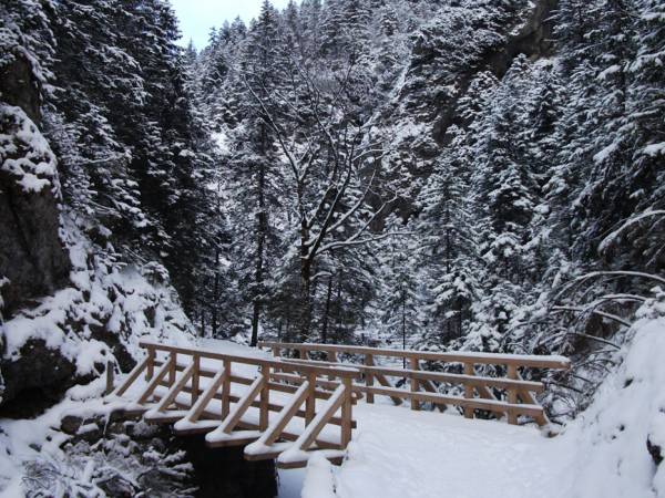 Pobliska Dolina Białego