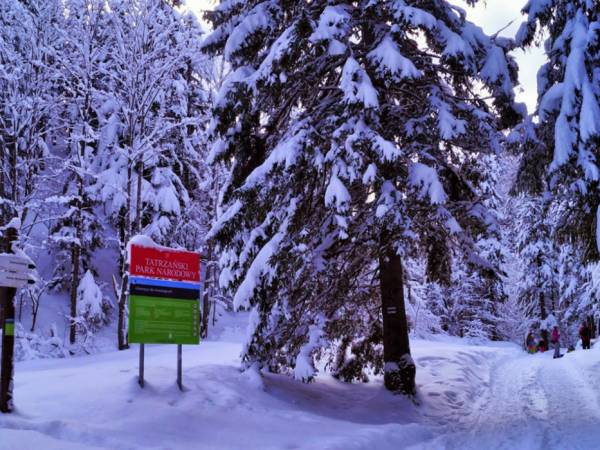 Pobliska Droga pod Reglami