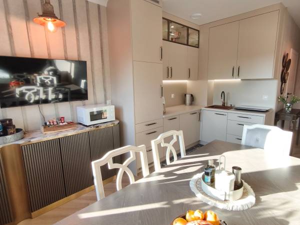 Salon z aneksem kuchennym