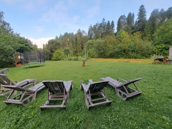 Agroturystyka Arenda 