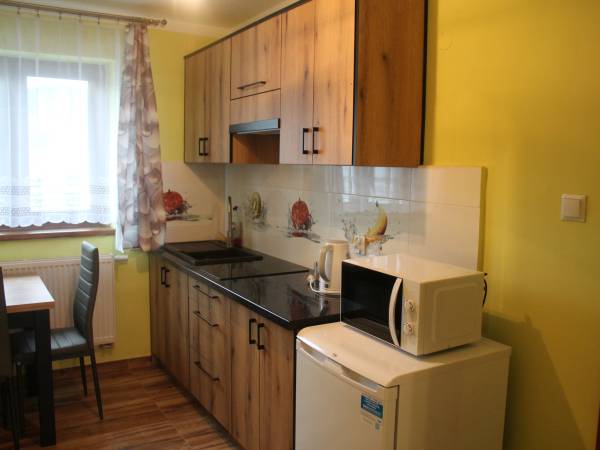 Apartament 4 osobowy - kuchnia