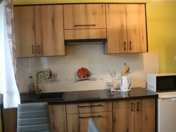 Apartament 4 osobowy - kuchnia