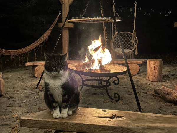 Gajówka - Całoroczne Pokoje i Apartamenty