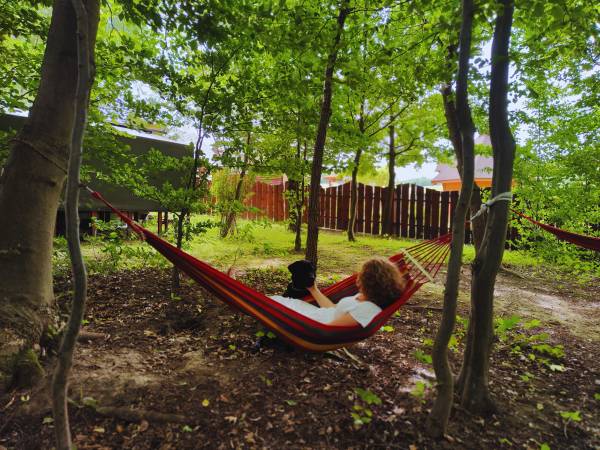 Siedlisko Carownica Family & Wellness